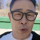 임성근 카카오 검색결과