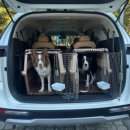 털로덮인친구들(키녹점) 이미지