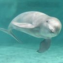 생명의 그물 1 이미지