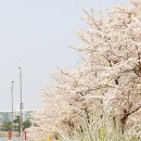 한내근린공원 이미지