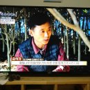황칠진액(몸에좋은),황칠차 2019년 설날 선물용 판매합니다. 이미지
