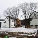 오산리 내 이미지