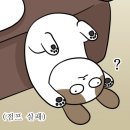 오일정비 이마트 이미지