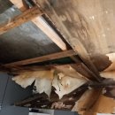 안산천서로 3길 | 누수 현장 인테리어 복구 후기:벽지·천장 철거부터 실크벽지 정배까지 전면 시공 전·후