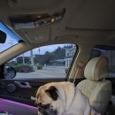 베라데로 이미지