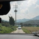 충주 피자맛집 블루리본 달달숲 두번간 후기