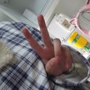 조이 줄넘기 앤 태권도 | 눈 떠보니 한 달