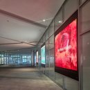 수원-1895 | 까르띠에 C드 프로포즈 목걸이 구매후기 (신세계 타임스퀘어점 오픈런)