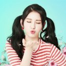 솜이랑 이미지
