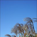 구불7길(신시도길) 이미지