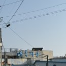 뚱이 호떡 | 인천 강화교동시장 대룡시장맛집 먹거리/주차/영업시간