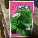 조종농약사 이미지