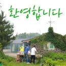 귤밭민박 이미지