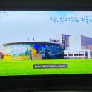 오광텔레콤 | SK Btv로 집콕라이프 제대로 즐기기! TJ노래방과 뽀로로 덕분에 우리집이 노래방, 키즈카페로 💓
