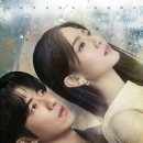 연지지 이미지