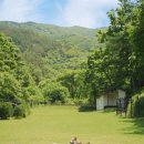 스테이다독 이미지