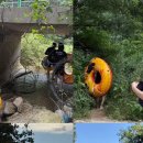 도로시민박 이미지