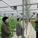 인천원예협동조합 이미지