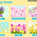 송도초등학교 맞은편 이미지