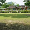 정희농박 이미지