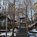 광교푸른숲도서관 | 수원 광교 푸른숲도서관 책뜰 이용후기