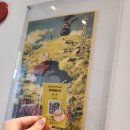 지브리와 사랑에 빠지다 | 대구연주회 지브리와 사랑에 빠지다 영화음악 콘서트 후기