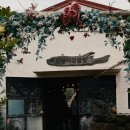 무진목장 | [제주 카페] 아이와 가볼 만한 곳 '어린왕자감귤밭' 감귤 체험 &amp; 동물 먹이주기 이색 카페 추천