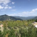 동강전망자연휴양림 이미지