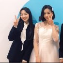 김채연 카카오 검색결과