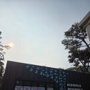 백조농장 | 양평에 아이와 함께 간다면! 굼프로 곤충체험학습농장으로-*