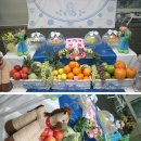 영스포렉스 이미지