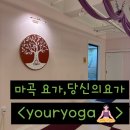 빈야사요가 초급반 | 서울 강서구 마곡동 신방화역 요가 추천 마곡 요가 방화동 필라테스 요가자격증 당신의요가