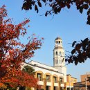 반디호텔 이미지