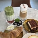 168 | 홍성애견동반카페 후쿠오카 말차 도쿄롤 불멍 대형카페 가든168 솔직후기