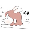 남이섬베스트캠핑 이미지