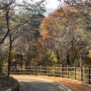 상주 성주봉 숲속의 광장