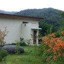 빌라 포지타노 이미지