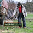 SOS프란치스카의집 이미지