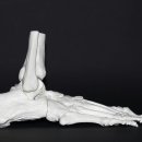 휴먼본정형외과의원 이미지