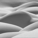 서정적인 이미지