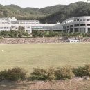 문형구장 Daum카페