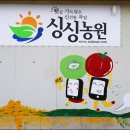 보성농원 이미지