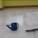 성남서초등학교 이미지