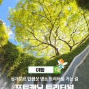 시민공원 북문 앞 횡단보도 | 싱가포르 가볼만한곳 포트캐닝 공원 트리터널 가는 길