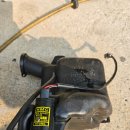 구미라지에타 이미지