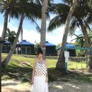 도트 비 이미지