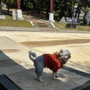 느린산책