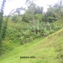 태일농장 이미지