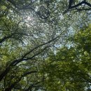 커낼여름치과보존과치과의원 이미지