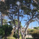 양남면행정복지센터 이미지